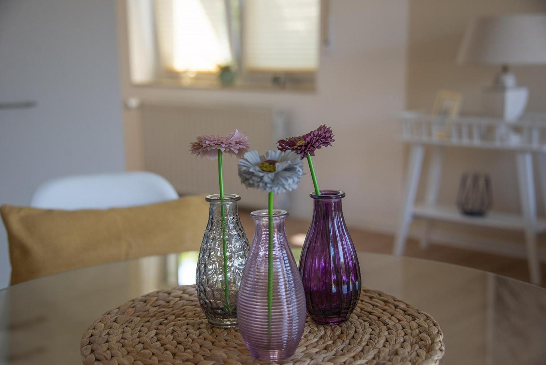 Apartment Lehmann - Holunder